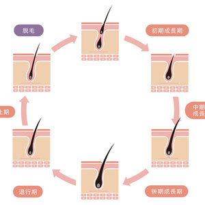 脱毛をより効果的にするには！？毛周期編