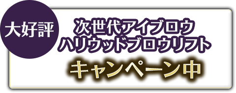 次世代アイブロウ ハリウッドブロウリフト